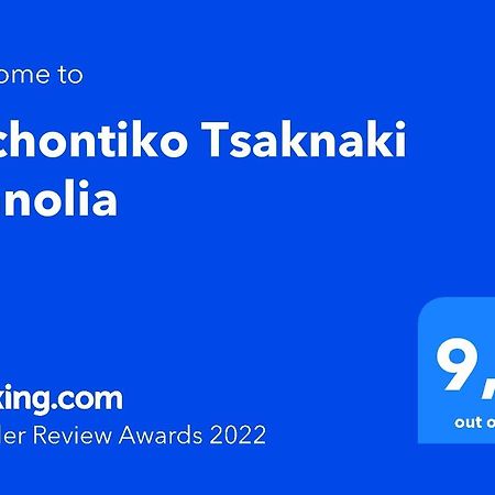 Archontiko Tsaknaki Manolia Otel Áno Lekhónia Dış mekan fotoğraf