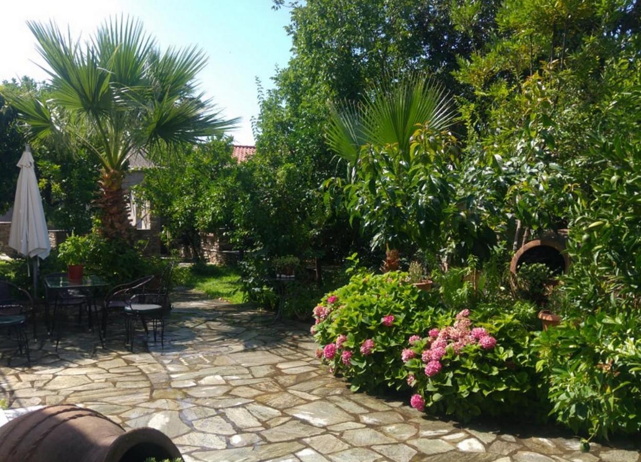 Archontiko Tsaknaki Manolia Otel Áno Lekhónia Dış mekan fotoğraf