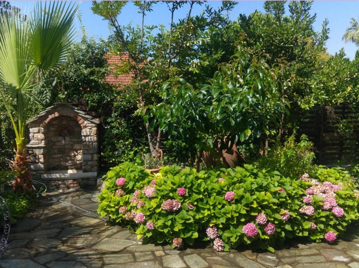 Archontiko Tsaknaki Manolia Otel Áno Lekhónia Dış mekan fotoğraf