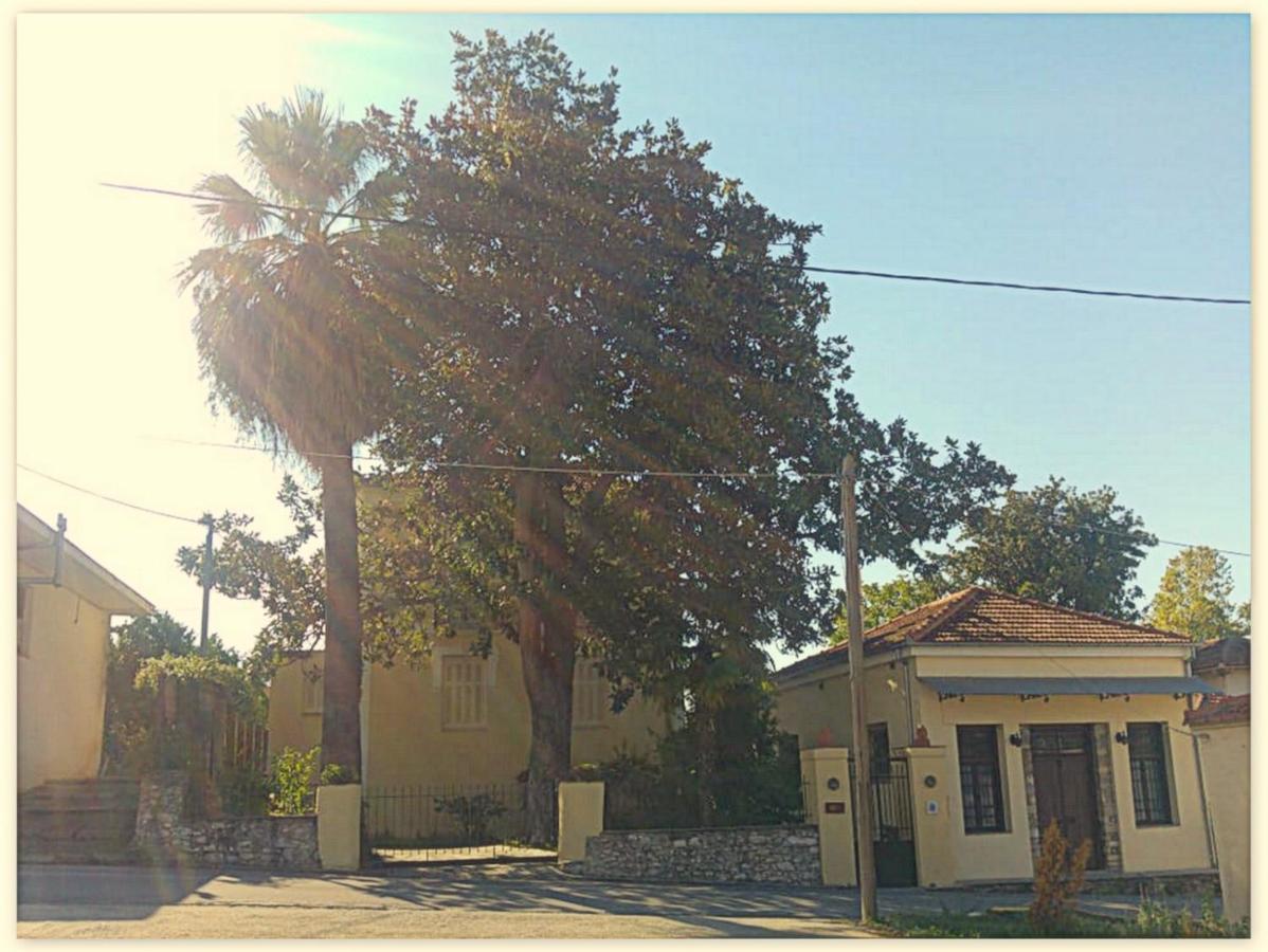Archontiko Tsaknaki Manolia Otel Áno Lekhónia Dış mekan fotoğraf