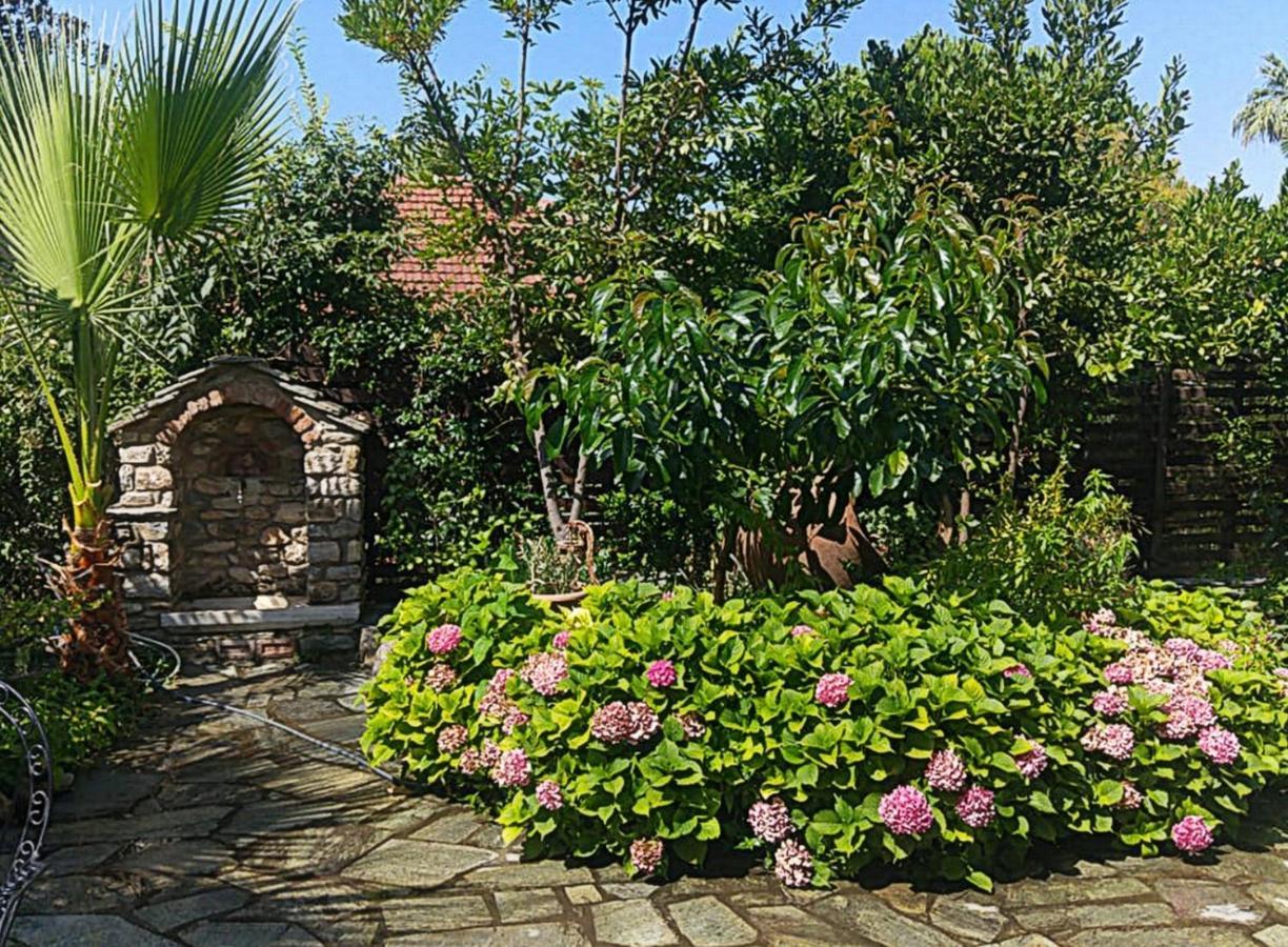 Archontiko Tsaknaki Manolia Otel Áno Lekhónia Dış mekan fotoğraf