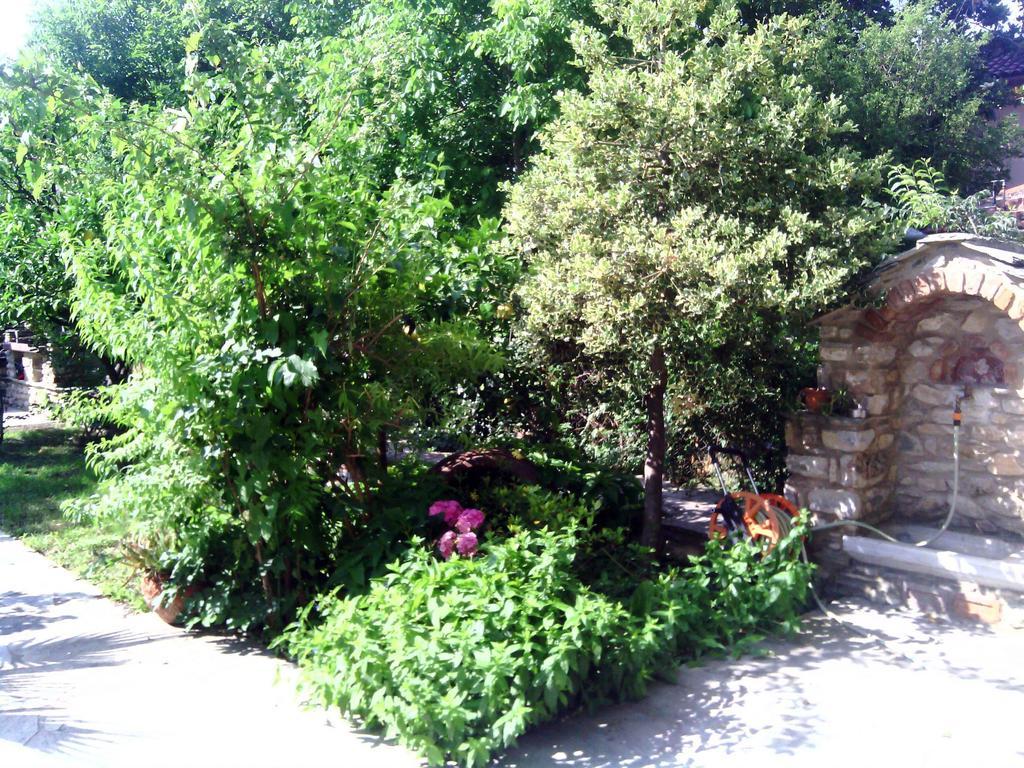 Archontiko Tsaknaki Manolia Otel Áno Lekhónia Dış mekan fotoğraf